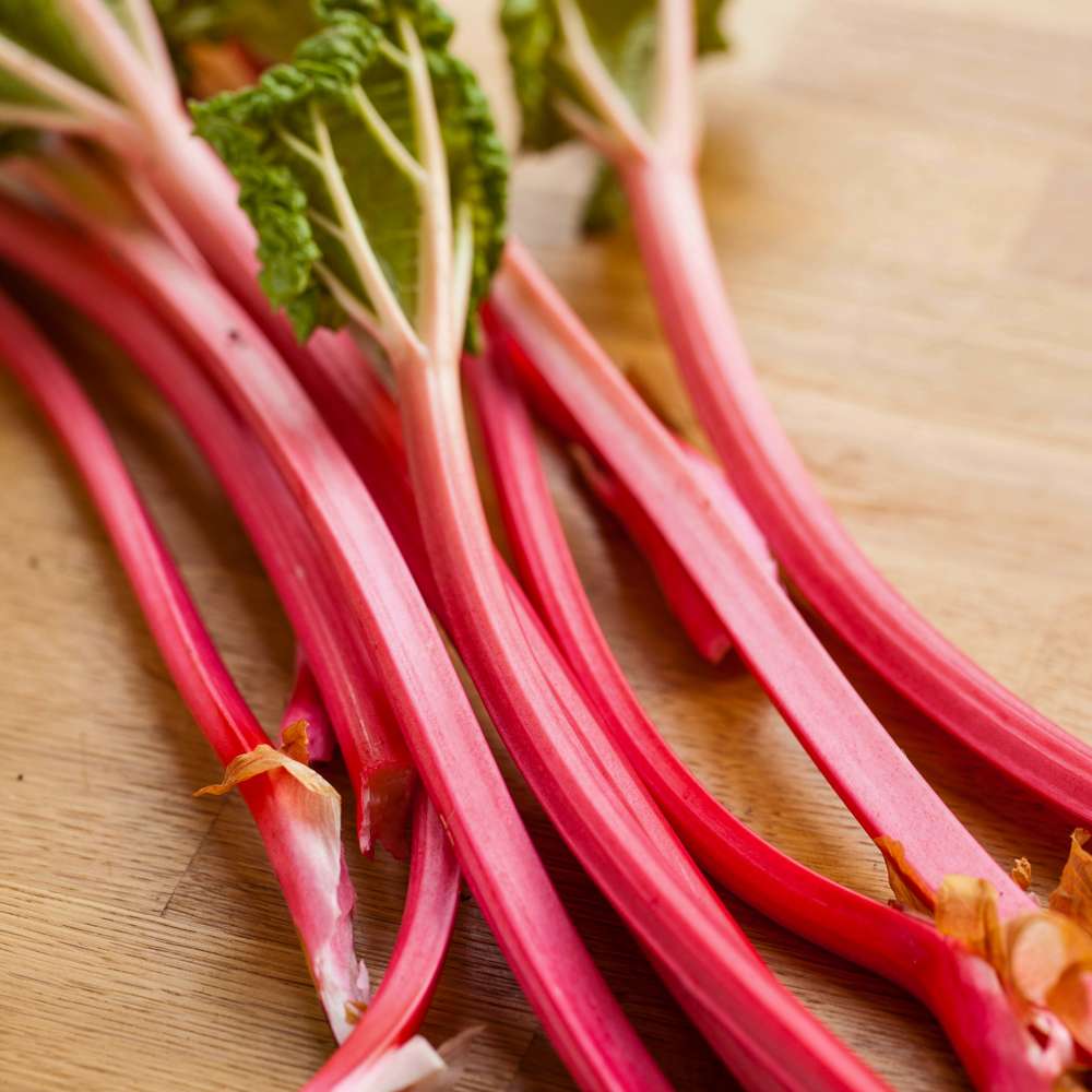 Rabarber 'Red Champagne'